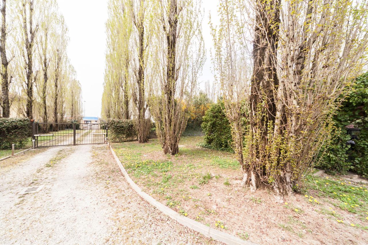 Il Borgo Di Minerva Hotel Minerbio Екстериор снимка